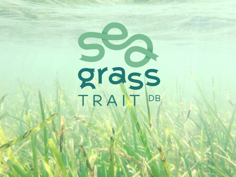 SeagrassTraitDB